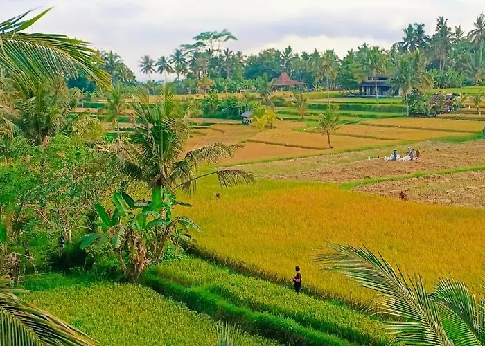 Tridharma